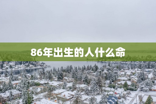 86年出生的人什么命