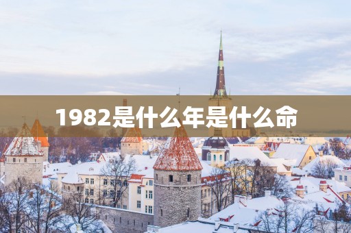 1982是什么年是什么命