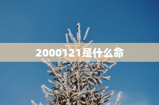 2000121是什么命
