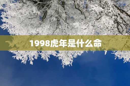 1998蛇年是什么命