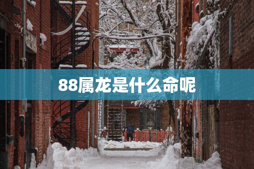 88属龙是什么命呢
