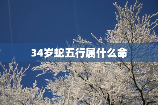 34岁蛇五行属什么命