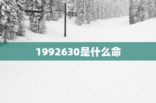 1992630是什么命
