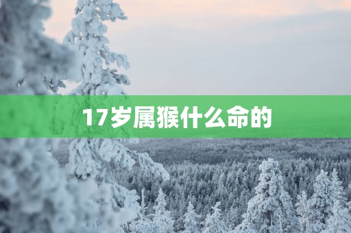 17岁属猴什么命的