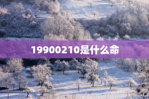 19900210是什么命