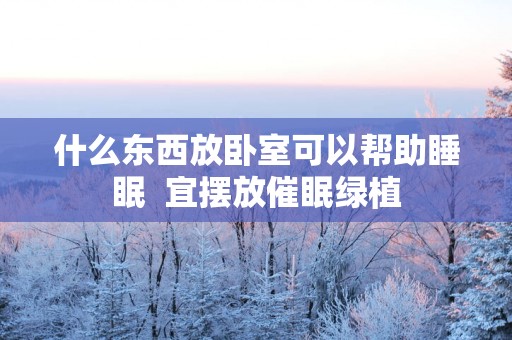 什么东西放卧室可以帮助睡眠  宜摆放催眠绿植
