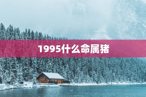 1995什么命属猪