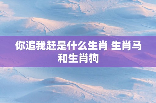 你追我赶是什么生肖 生肖马和生肖狗