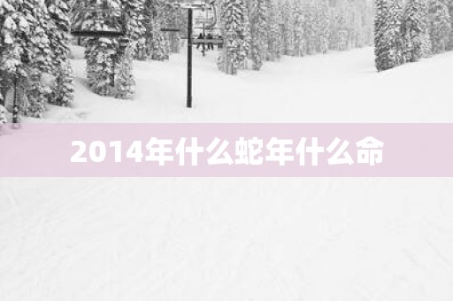 2014年什么蛇年什么命