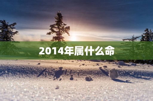 2014年属什么命