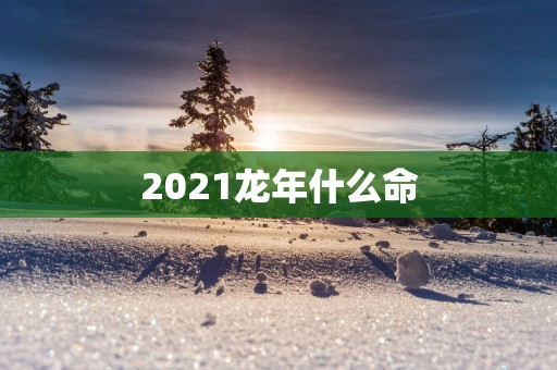 2025蛇年什么命
