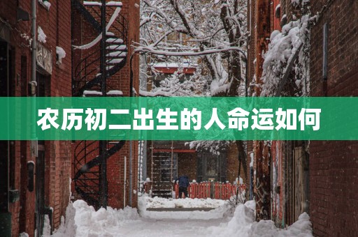 农历初二出生的人命运如何