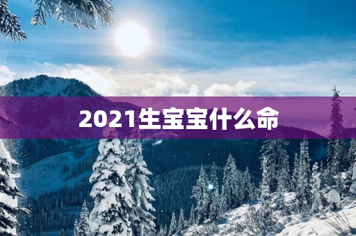 2025生宝宝什么命