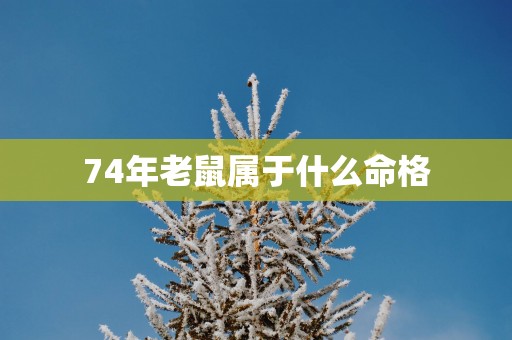 74年老鼠属于什么命格