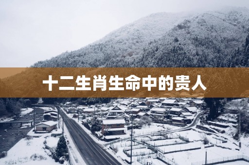 十二生肖生命中的贵人