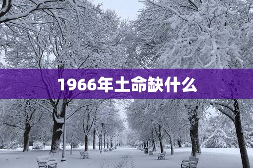 1966年土命缺什么