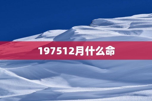 197512月什么命