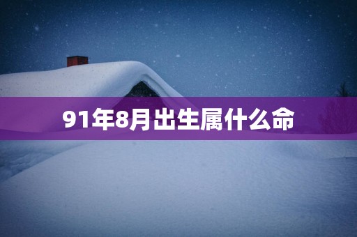 91年8月出生属什么命