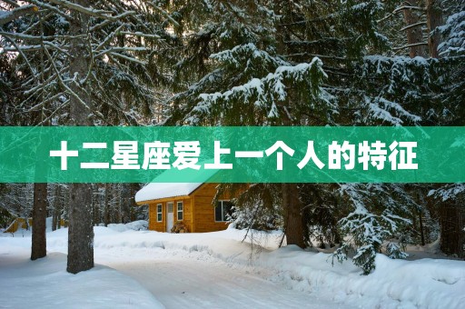 十二星座爱上一个人的特征
