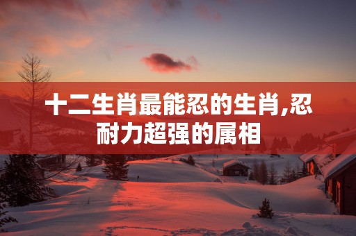 十二生肖最能忍的生肖,忍耐力超强的属相