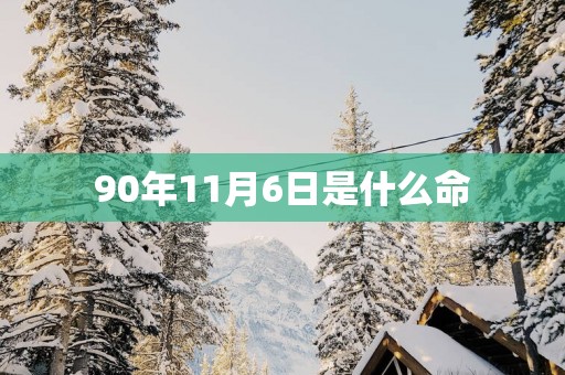 90年11月6日是什么命