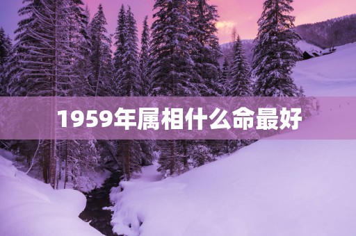 1959年属相什么命最好