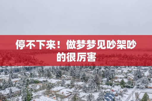 停不下来！做梦梦见吵架吵的很厉害