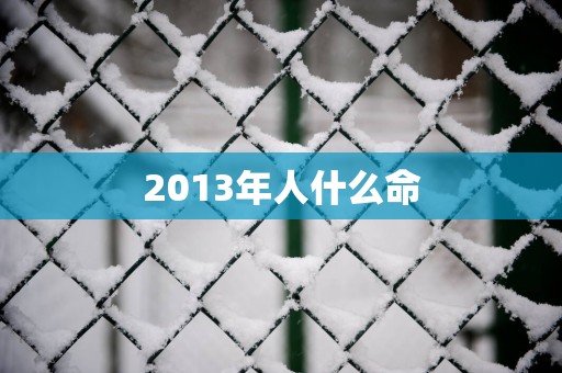 2013年人什么命