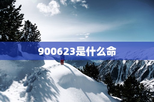 900623是什么命