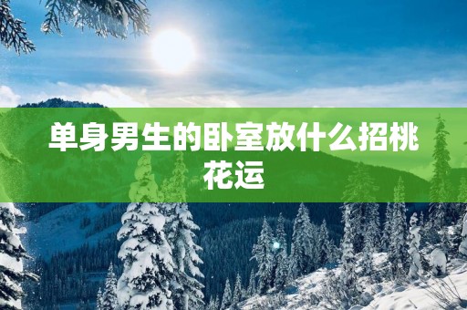 单身男生的卧室放什么招桃花运