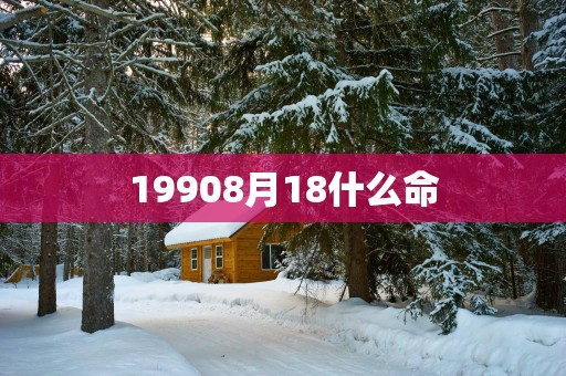 19908月18什么命