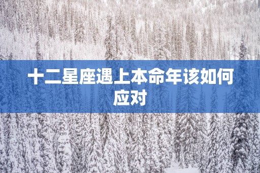 十二星座遇上本命年该如何应对