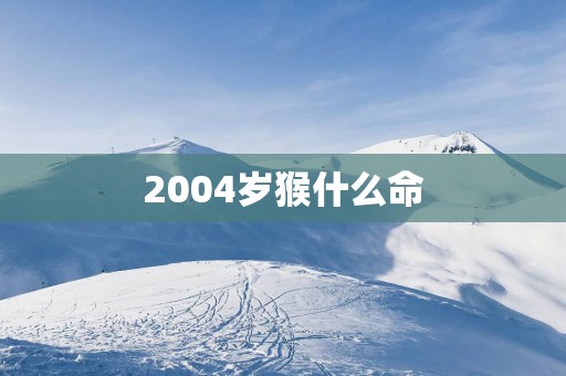 2004岁猴什么命