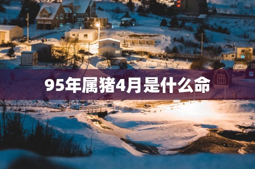 95年属猪4月是什么命