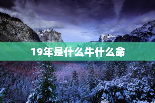 19年是什么牛什么命