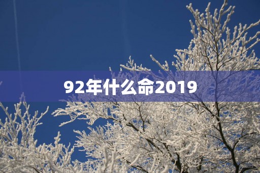 92年什么命2019