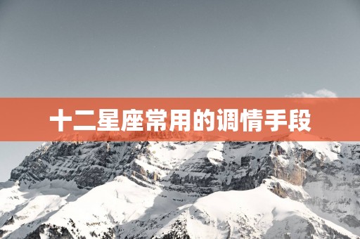 十二星座常用的调情手段