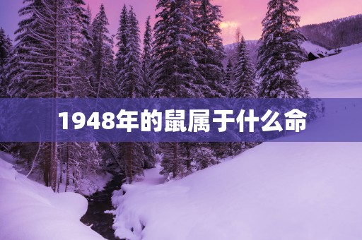 1948年的鼠属于什么命