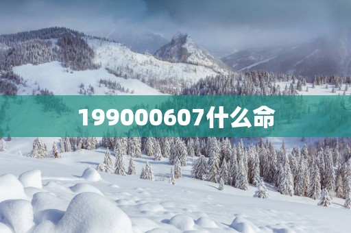 199000607什么命