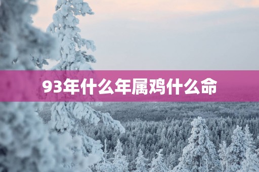 93年什么年属鸡什么命