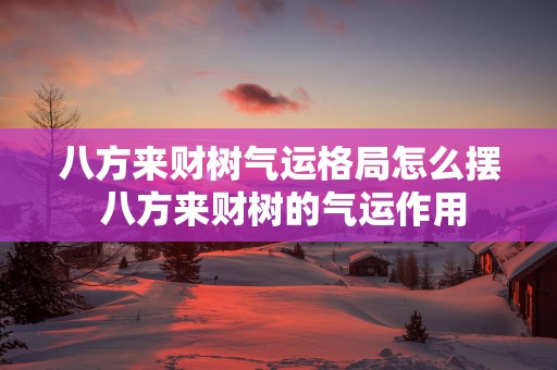 八方来财树气运格局怎么摆 八方来财树的气运作用