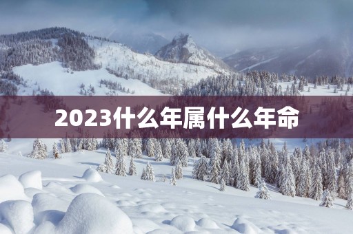 2025什么年属什么年命