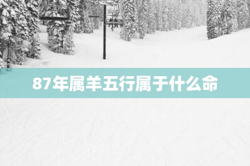 87年属羊五行属于什么命