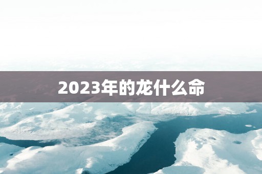 2023年的龙什么命