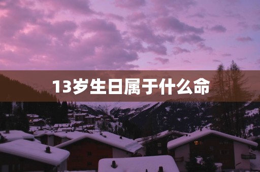13岁生日属于什么命