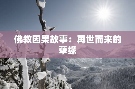 佛教因果故事：再世而来的孽缘