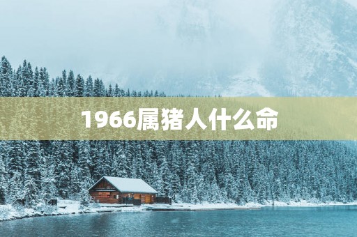 1966属猪人什么命