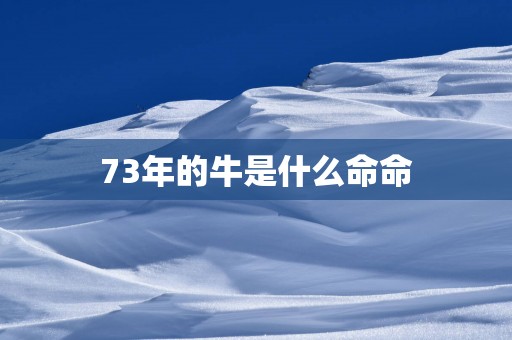 73年的牛是什么命命