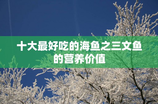 十大最好吃的海鱼之三文鱼的营养价值