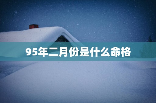 95年二月份是什么命格